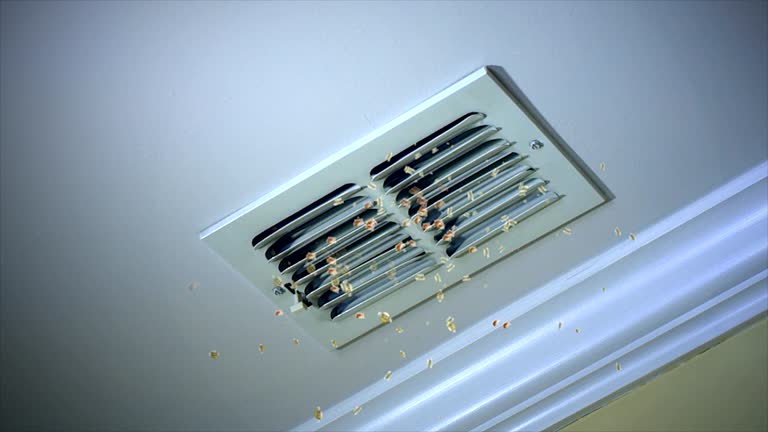 Best Air Duct Cleaning Near Me  in Algonquin, MD