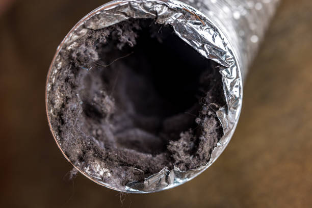 Best Local Air Duct Cleaning Services  in Algonquin, MD
